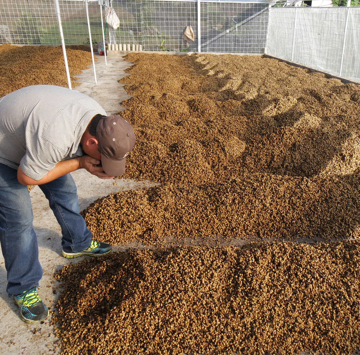 Coffee farmers at the Guji Goro Bedessa site.